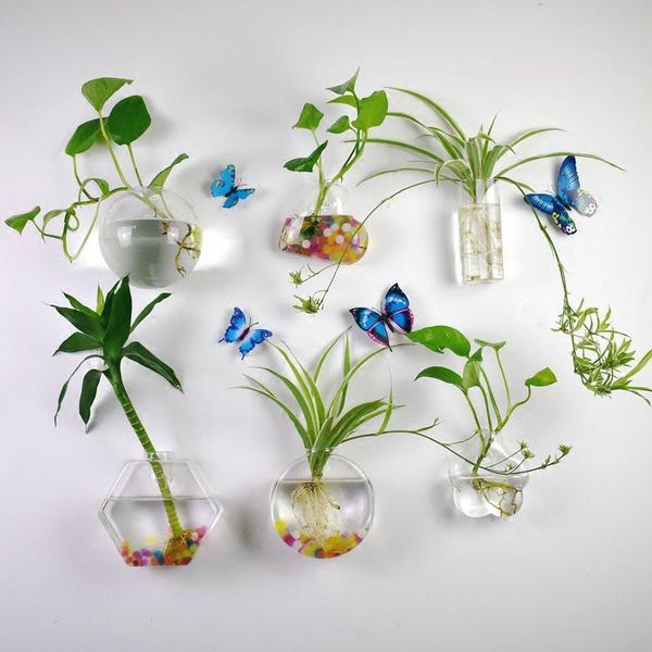 

novelty items different shaped wall amounted glass vase water green plants terrarium fashion hanging home decoration