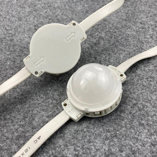 

modules 30pcs a string;50mm diameter gs8206 rgb full colo addressable pixel module;dc24v input;7leds inside;ip68 rated;frosted cover