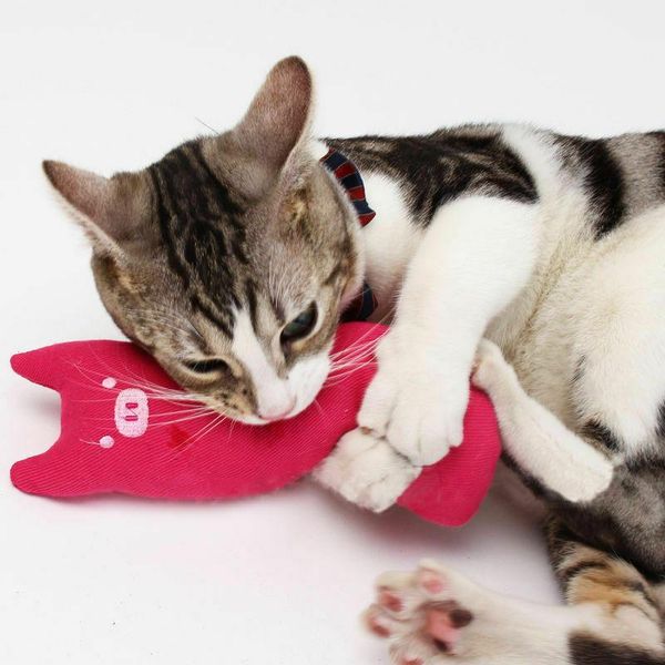 

cat toys faroot for dog toy play funny pet puppy chew squeaker squeaky cute plush sound
