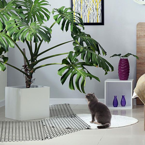 

cat carriers,crates & houses 5pcs repellent mat garden prickle strip dig sdeterrent spike portable anti-cat dog outdoor