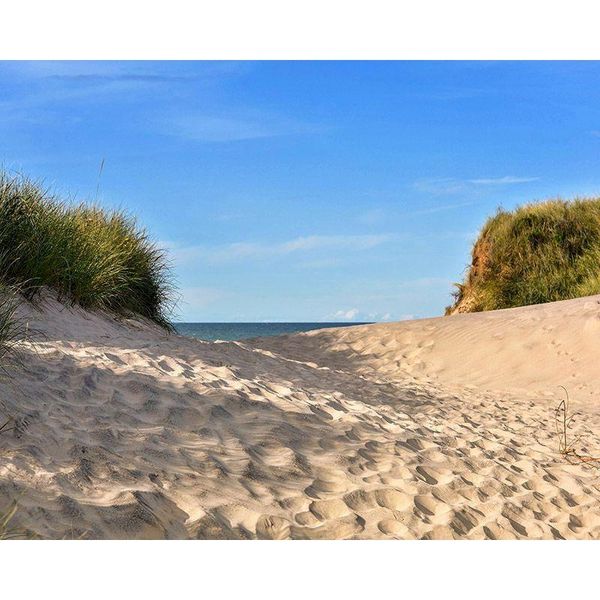 

paintings selilali painting by numbers kits desert plant scenery oil picture number diy framed on canvas home wall decor artcraft po