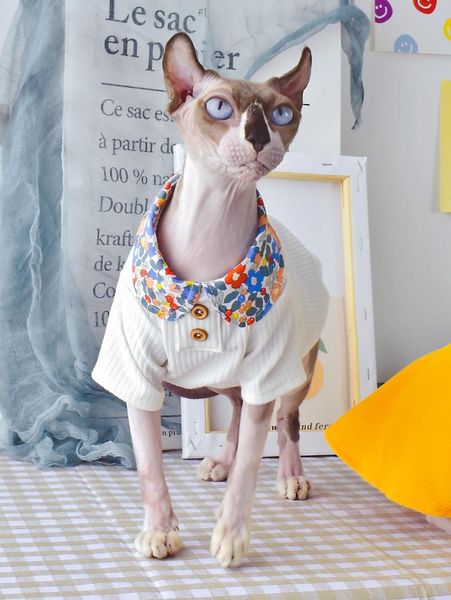 

sphynx cat clothes summer thin style sphinx hairless pet shirts for cats costumes