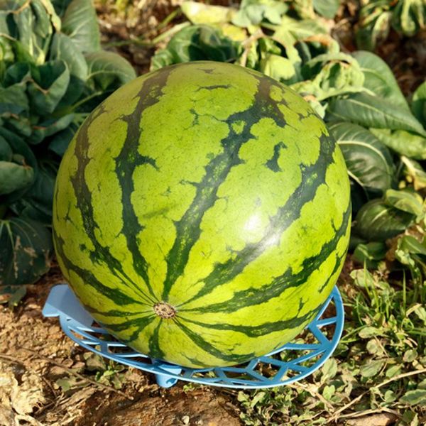 

mats & pads 10 pcs melon squash cradle reusable plant garden support rack avoid ground rot protects large cane vine fruit hk3