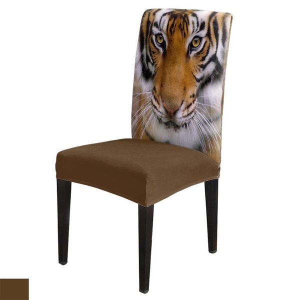

chair covers dining animal tiger beard asia carnivore modern elastic printing el wedding home