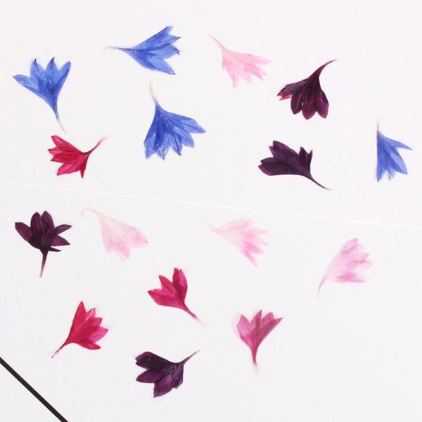 

decorative flowers & wreaths 20pcs dried flower natural cornflower diy craft room decoration resin nail candle phone decor