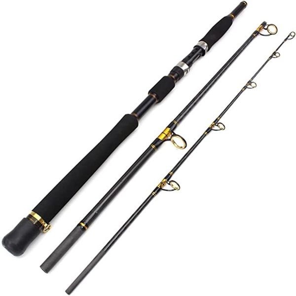 

boat fishing rods 2021 design 3 heavy spinning rod portable graphite (30-50 pound test)