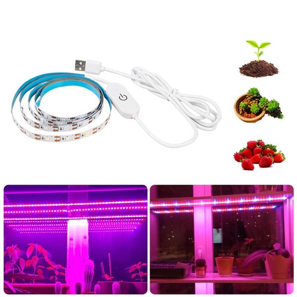 

grow lights 5v usb led light 2m full spectrum waterproof strip 2835 phyto lamps for greenhouse hydroponic plant growing