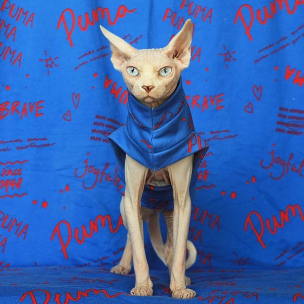 

cat costumes leisure sphinx canada hairless cotton brand vest spring autumn clothing sweater pet supplies shirt