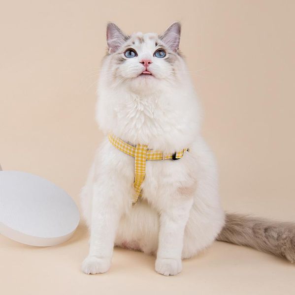 

cat collars & leads pet dog supplies cable collar accessories for small medidum large pechincha perros accesorios