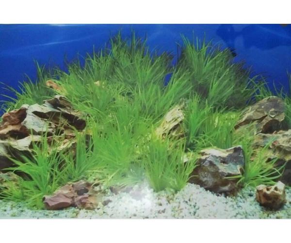 

decorations 8006 15 meters/roll double sided fish tank background stone grass / coral aquarium 49cm 59cm wide decoration picture poster