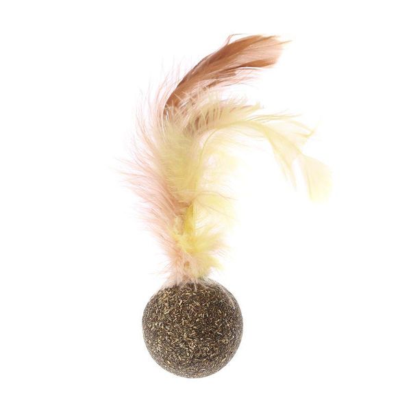 

small animal supplies nature kitten cat feature toy teeth cleaning catnip ball pet accessories ju15 21 drop