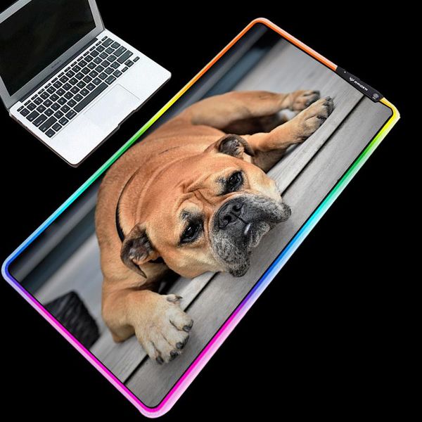 

mouse pads & wrist rests xgz dog game animal pad rgb large player usb lighting led backlight computer accessories keyboard desk