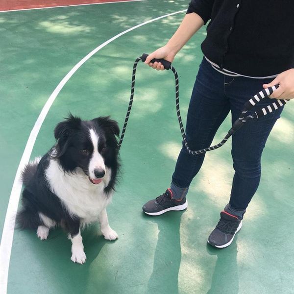 

dog collars & leashes reflective nylon walking leash double soft handle traction rope pet supply adjustable teddy shopping anti-bite belt