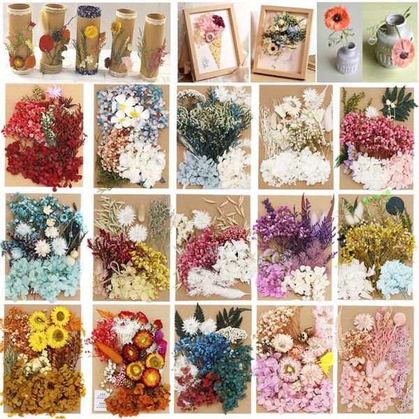

decorative flowers & wreaths 1pc real dried flower dry plants for candle epoxy resin pendant necklace jewelry making craft diy