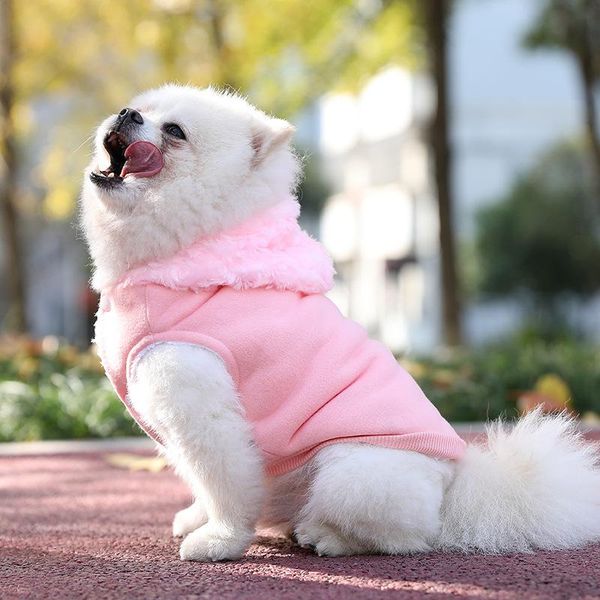 

dog apparel puppy clothes winter pet small puppies thick autumn and
