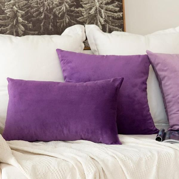 

pillow case 24 inch pack of 2, velvet soft solid decorative square throw covers set cushion cases pillowcases for sofa bedroom car