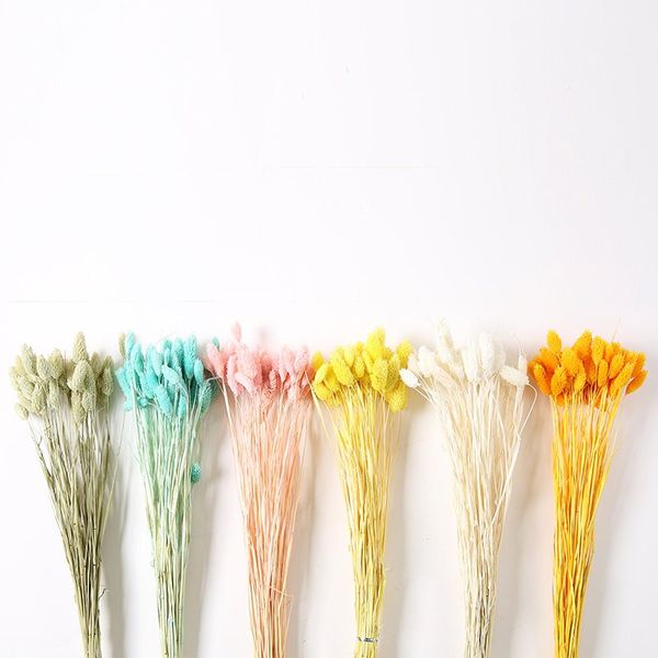 

30 stems dried gem grass phalaris flower bouquets home decoration pgraphy props