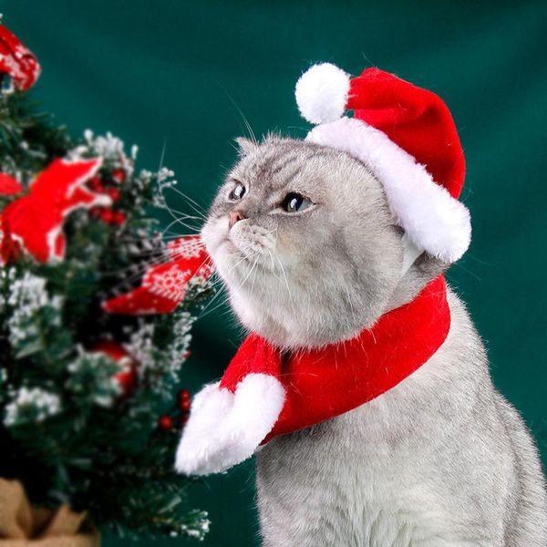 

cat dog christmas scarf hat cap neckerchief set costumes