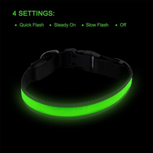 

dog collars & leashes petrainer led collar usb rechargeable night safety flashing glow in the dark leash