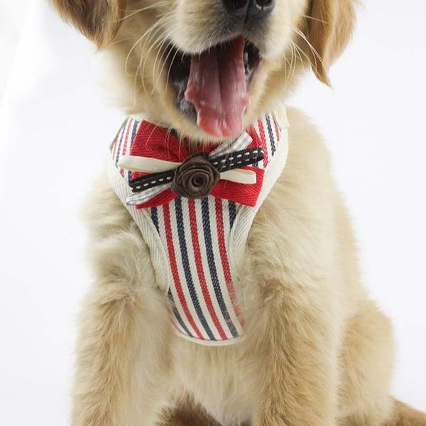 

dog collars & leashes chest strap teddy pomeranian traction rope small and medium sized pet