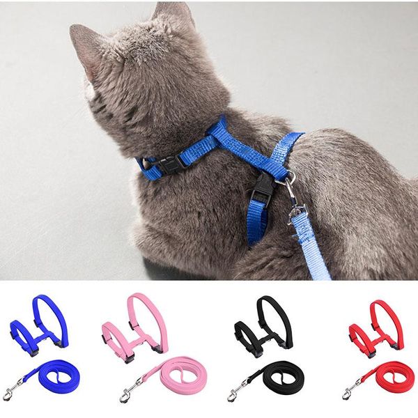 

cat collars & leads adjustable harness with leash set soft nylon halter strap collar for small puppy pet dog kitten lead walking