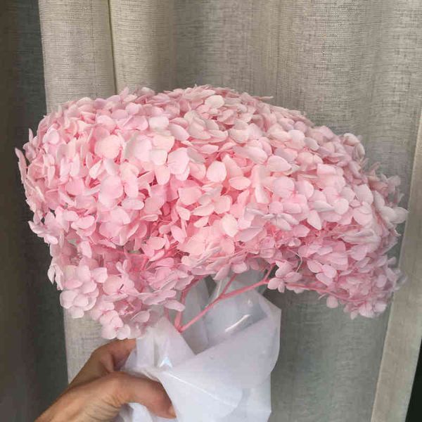 Presentes para mulheres Natureza Fresca Preservada Anna Hydrangea Branch16-18cm Cabeça, DIY Casamento Floral, Buquê de Casamento Presente Eternelle Rose Decor