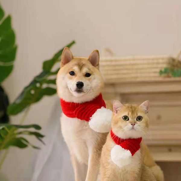 

cat costumes pet christmas scarf and dog big year red accessories