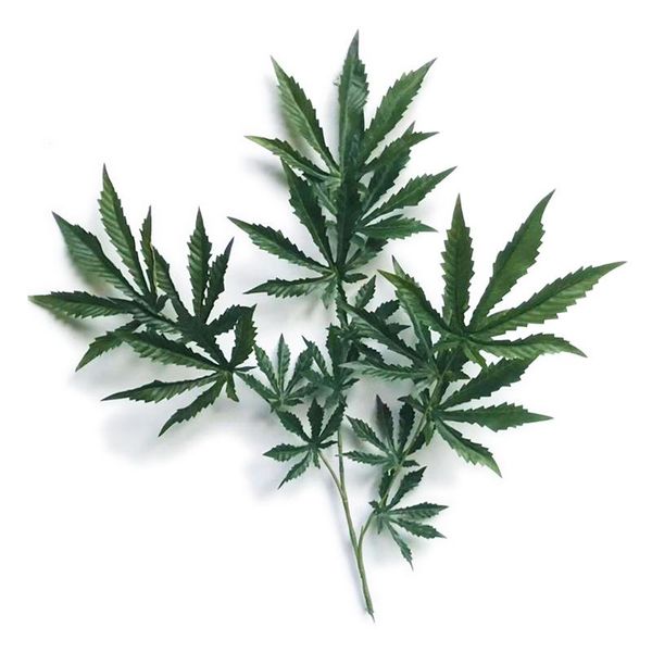 

fake plants 1pcs cannabi plant and leaves artificial for home decor decorative flowers & wreaths