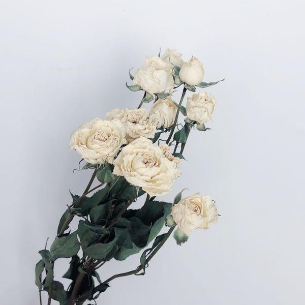 

decorative flowers & wreaths 20pcs champagne rose wedding flower bunch romantic bubble small dry bouquet home furnishing decorate red
