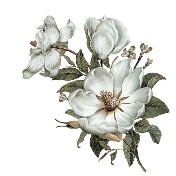 

wall stickers qc115 flowers sticker classical magnolia for home decoration art bedroom