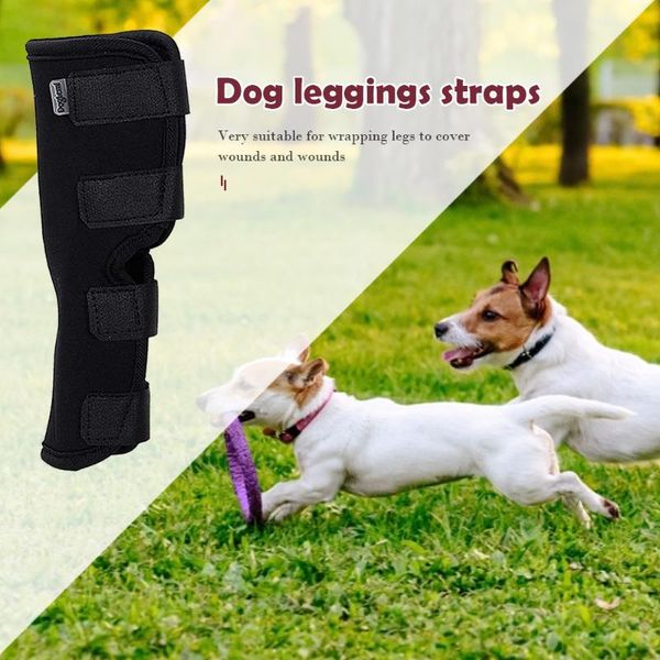 

dog apparel pet knee heal pads support brace for leg hock joint wrap injury legs recover protect pad compression rear