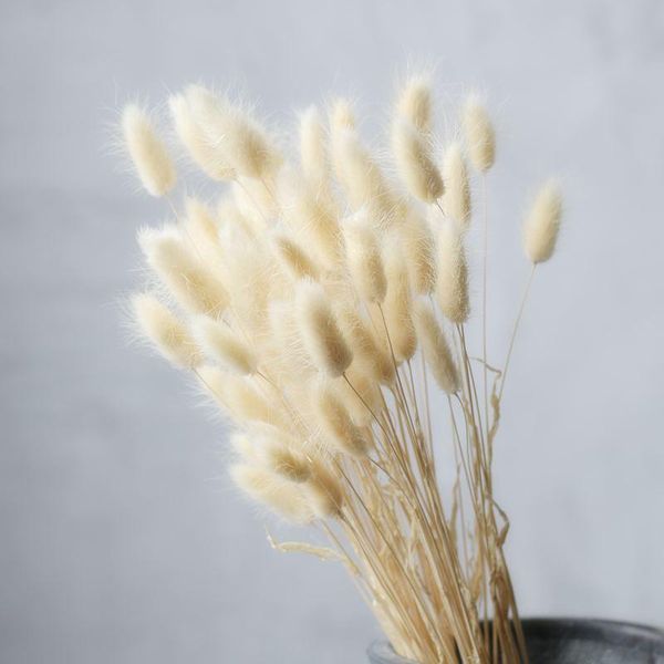 

white tail grassland ecological home decoration furnishings art dried flowers hay grass decorative & wreaths