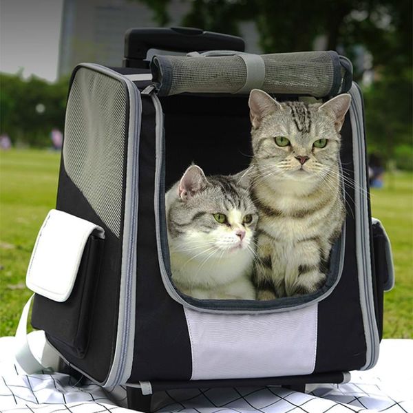 

cat carriers,crates & houses large space backpack breathable portable cats transport bag outdoor travel transporter sac chat pet carrier ac5
