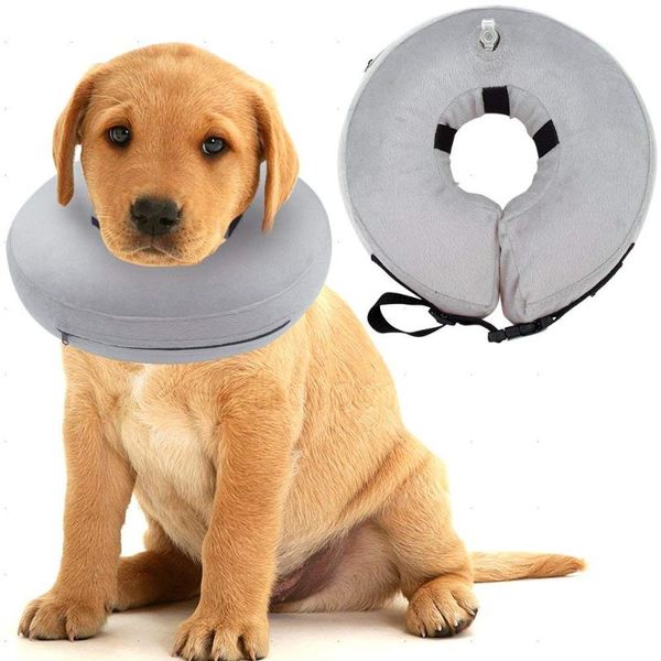 

dog collars & leashes gomaomi protective inflatable collar soft pet recovery e-collar cone for small medium large dogs