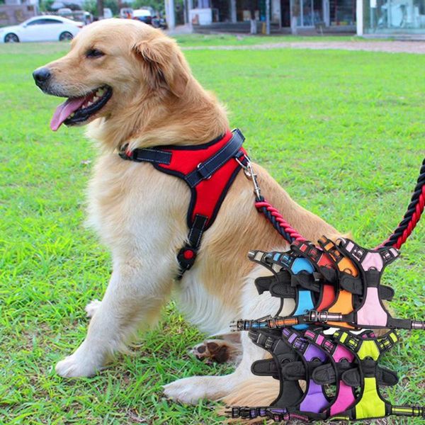 

dog collars & leashes 4 sizes adjustable chest strap good craftsmanship reflective comfortable breathable nylon pet harness for puppy daily
