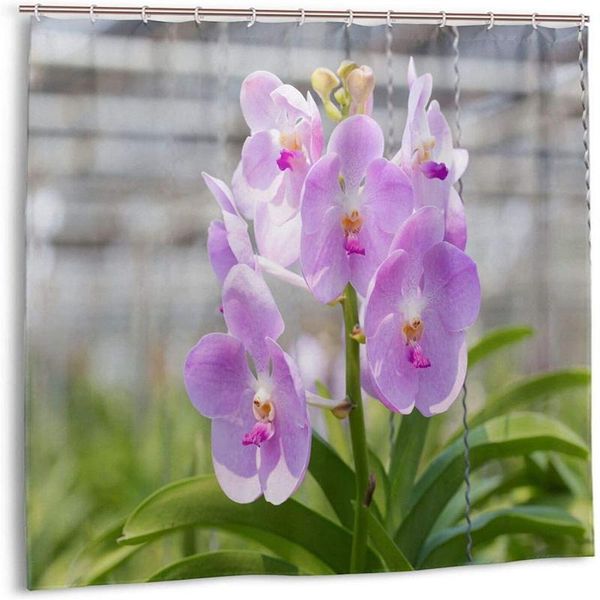 

shower curtains purple orchid waterproof curtain, cartoon curtain