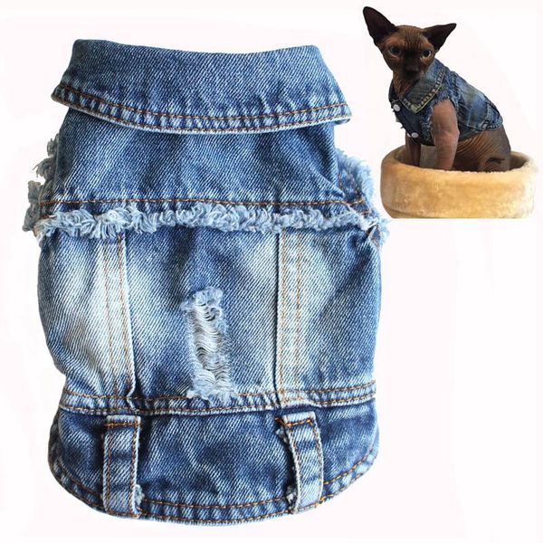 

sphynx cat clothes hole denim clothing for dogs casual cowboy jacket sphinxe kitten jeans vest pet costumes mascotas