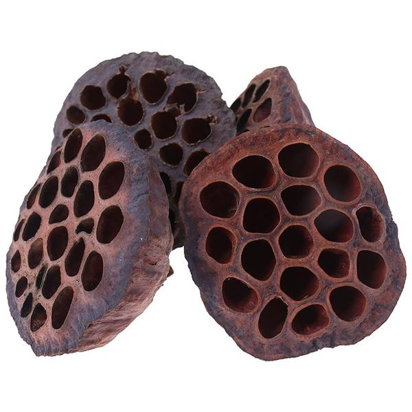 

decorative flowers & wreaths natural dried flower lotus diy decoration for home party office pressed 1pcs