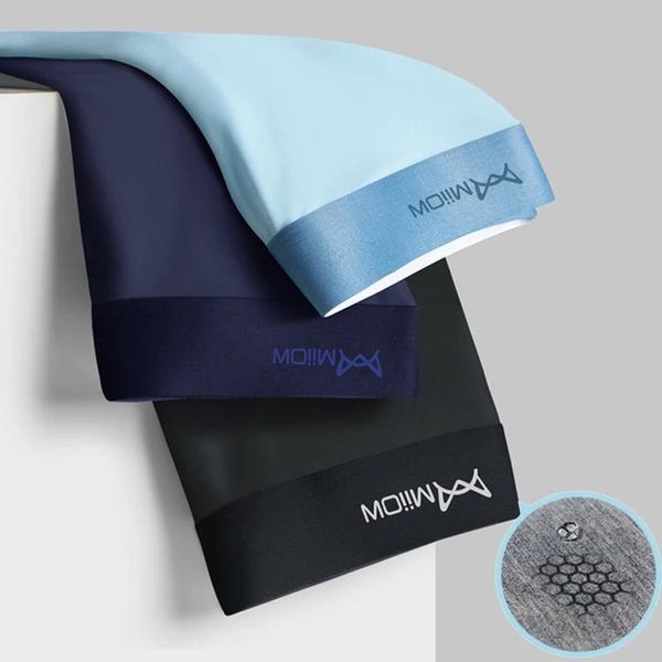 

underpants mens panties bamboo fiber mesh men underwear boxers boxer shorts boxershorts long 2021 3pcs, Black;white