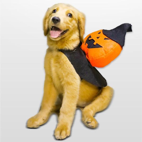 

dog apparel halloween pet pumpkin cloak transfiguration coat crossdresser costume suit comfortable festive party cute cosplay decoration