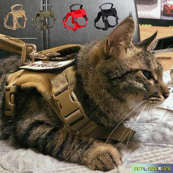 

cat dog harness pet vest training harnesses for dogs cats puppy lead walking running strap clothes outdoor supplies costumes