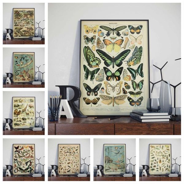 

paintings classic hd foreign museum collection retro nostalgic atlas old animals and plants family wall stickers o309