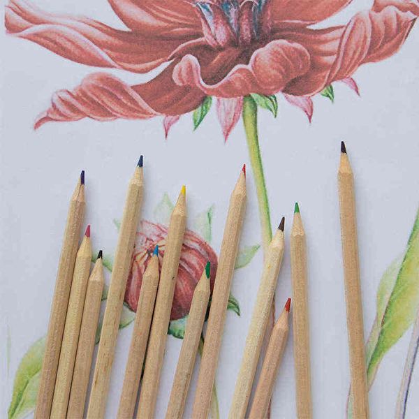 

luxury pencils hb poplar stick painting lead children's student color pencil