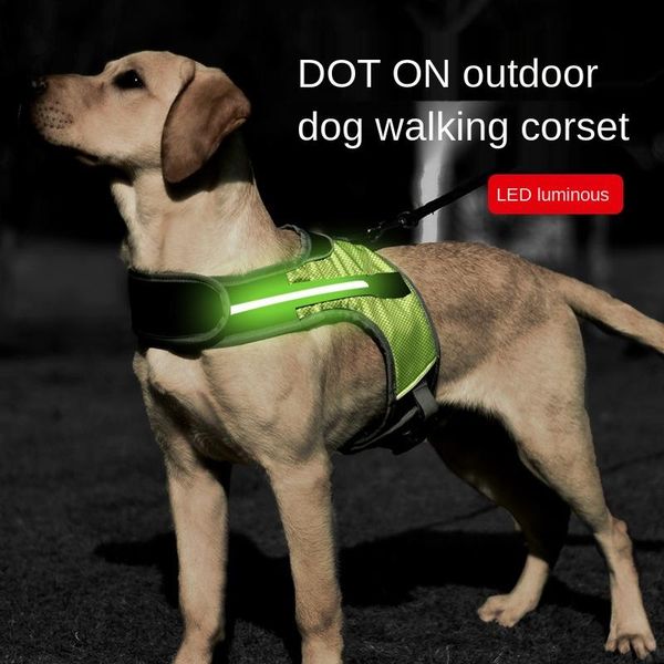 

dog collars & leashes the k luminous led straps pet dogs chest for huge at night