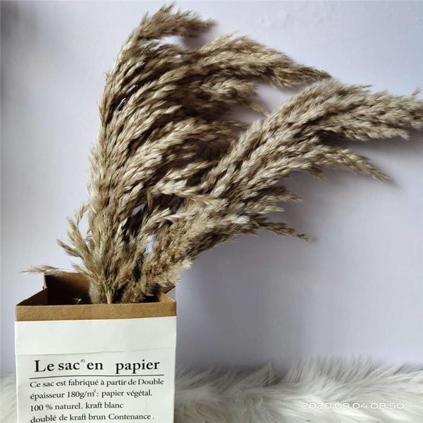 

20pcs dried flower pampas grass bunch natural reed flowers for wedding home halloween decoration plume 30-40cm decorative & wreaths