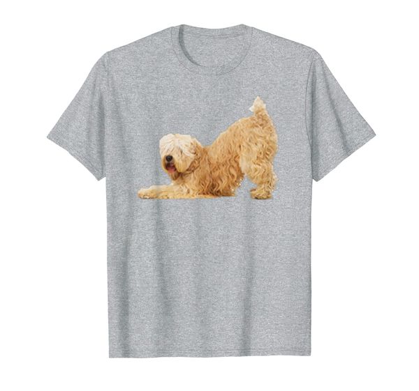 

Soft Coated Wheaten Terrier Shirt, Mainly pictures