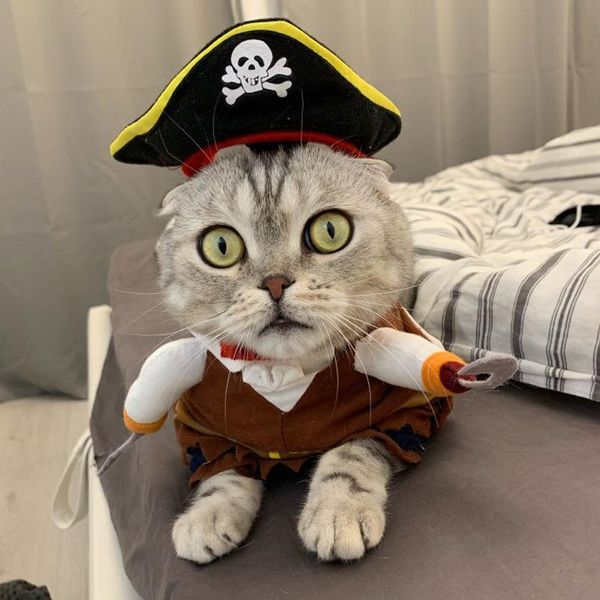 

cat costume pet dog clothes pirate suit universal two-legged costumes