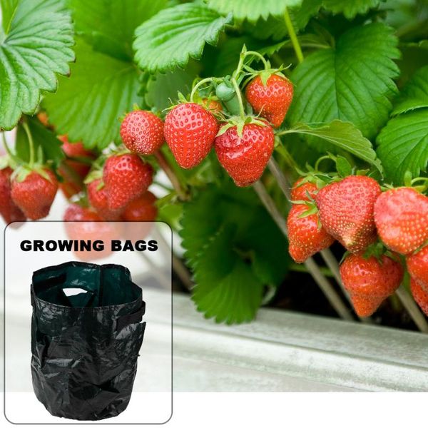 Fioriere Vasi da 10 galloni Sacchetto per piantare Giardinaggio Borse per fragole Contenitore per piante in tessuto traspirante con tasche per manici
