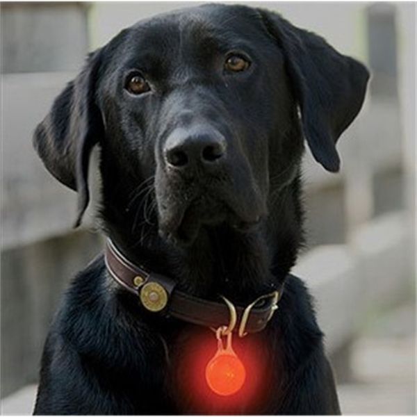 

night walk dog pet pendant led light cat flash pendant ball dog tag