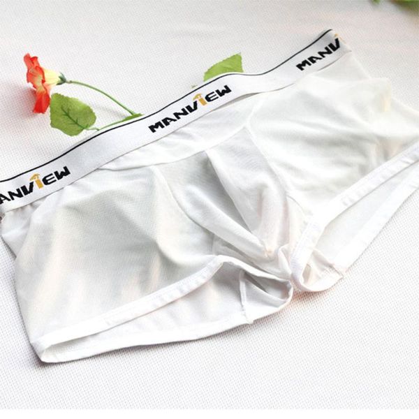 

underpants men gay underwear letter printed boxer briefs shorts bulge pouch mesh full cosplay erotic mens panties hombre, Black;white